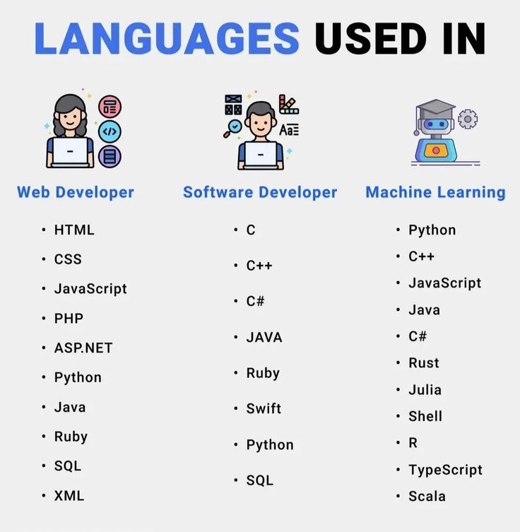 Infographic comparing programming languages used by different tech roles
